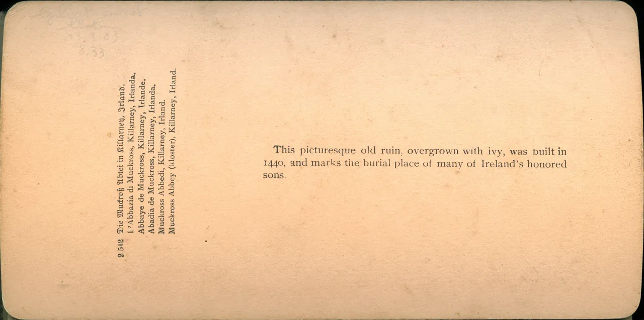 MAG3683.jpg