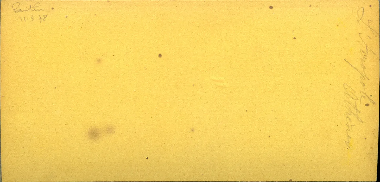 MAG3691.jpg