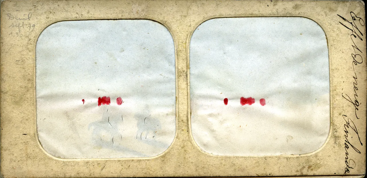 MAG3694.jpg