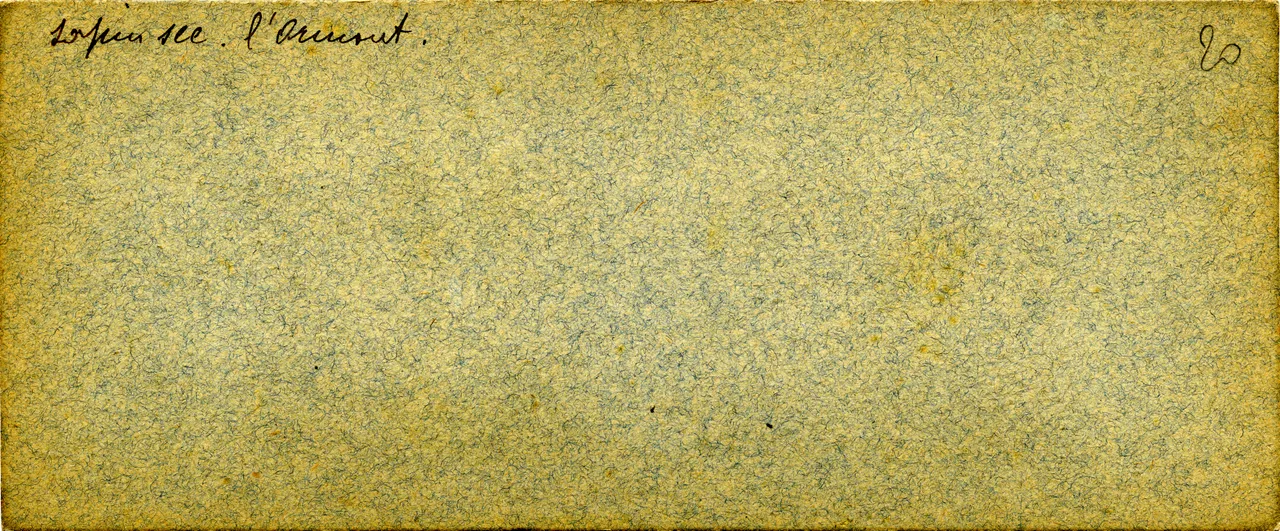 MAG3767.jpg