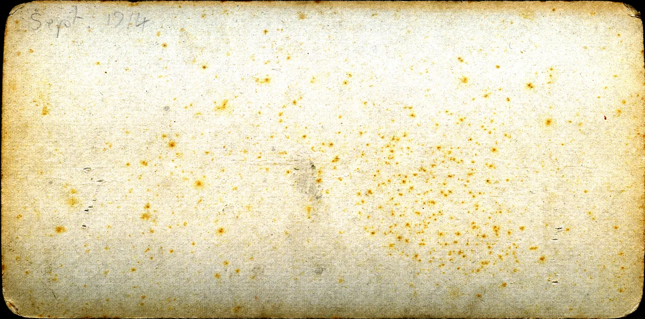 MAG3773.jpg