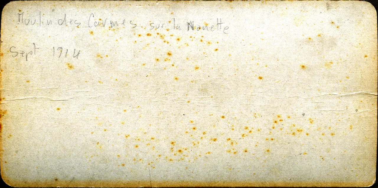MAG3774.jpg
