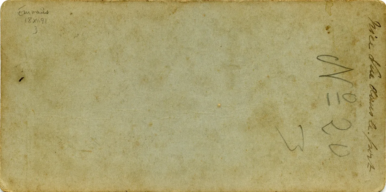 MAG3781.jpg