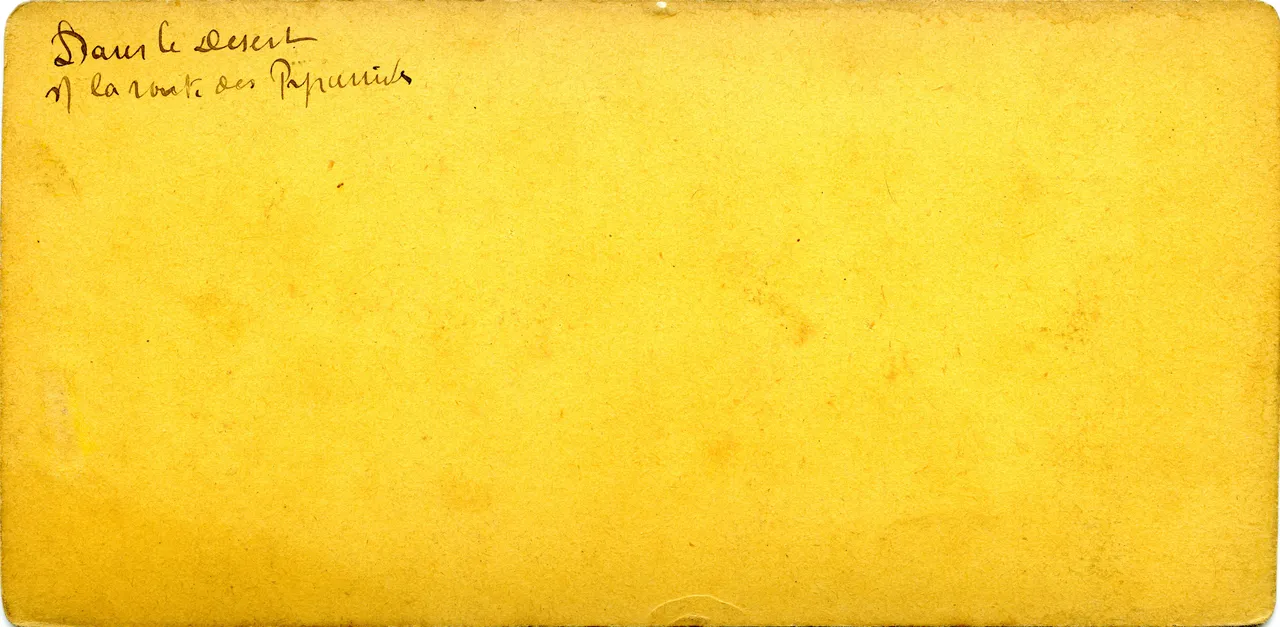 MAG3868.jpg