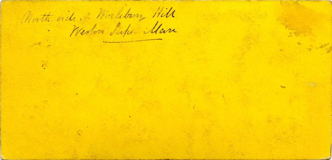 MAG3870.jpg