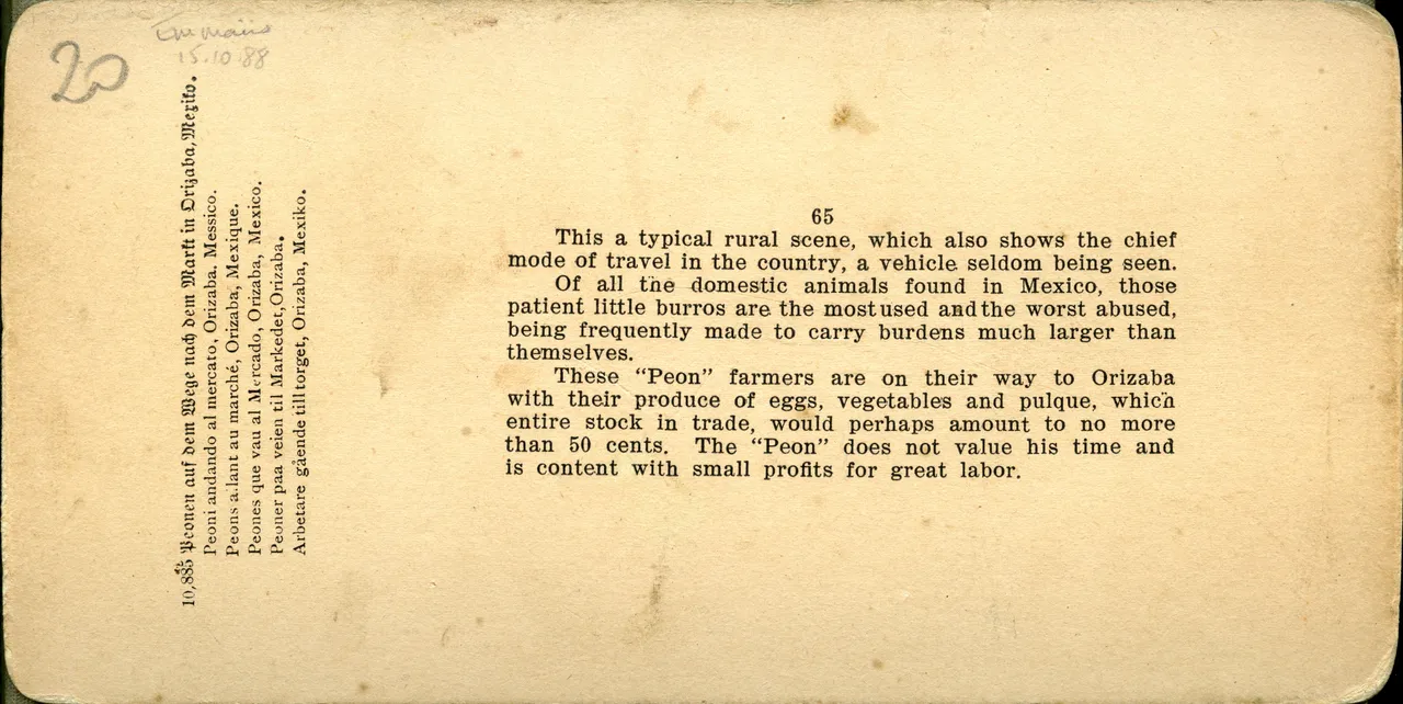 MAG3898.jpg