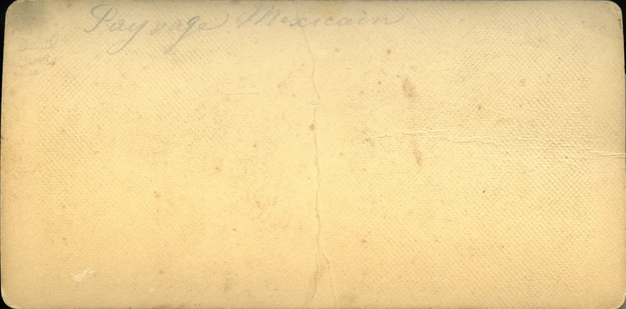 MAG3900.jpg