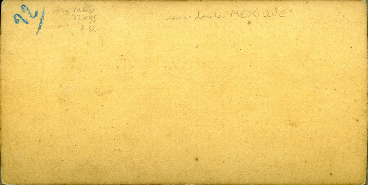 MAG3901.jpg