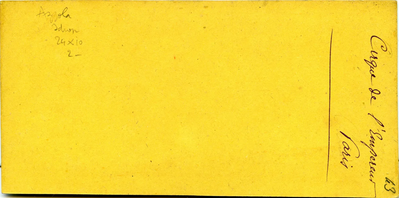 MAG3911.jpg