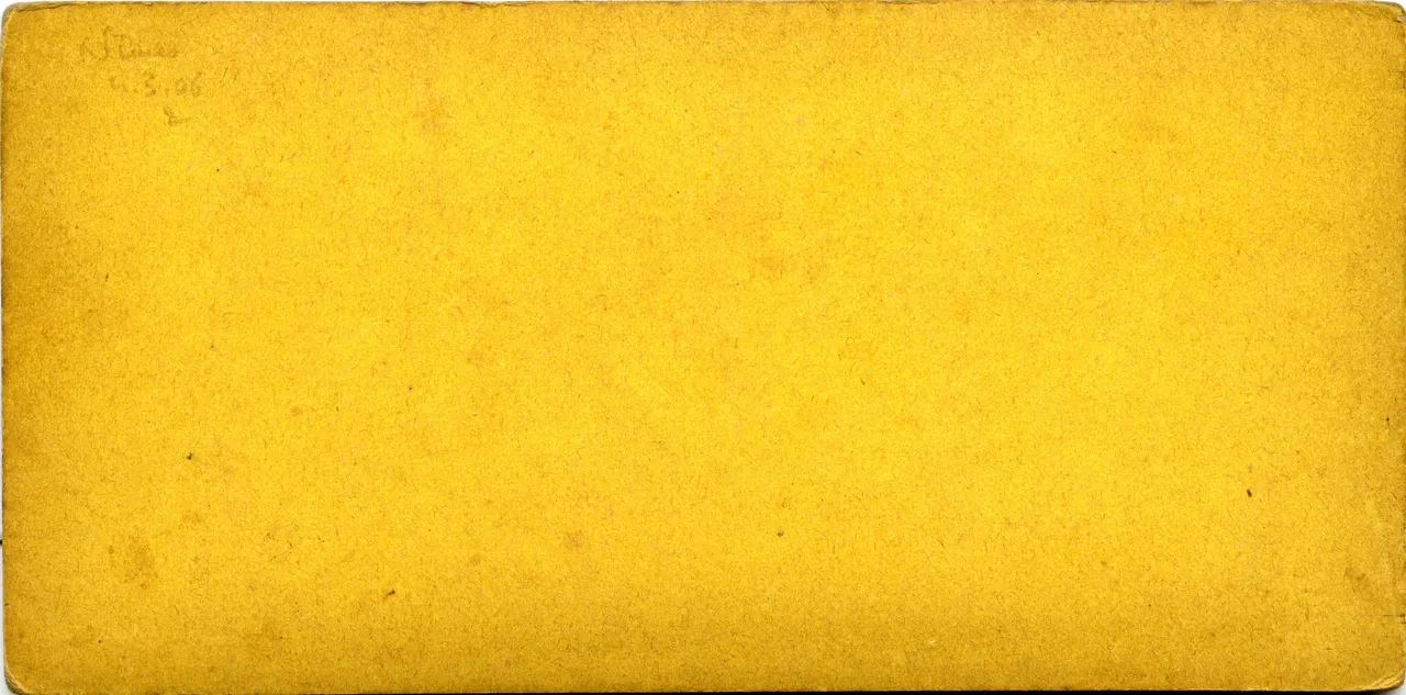 MAG3917.jpg