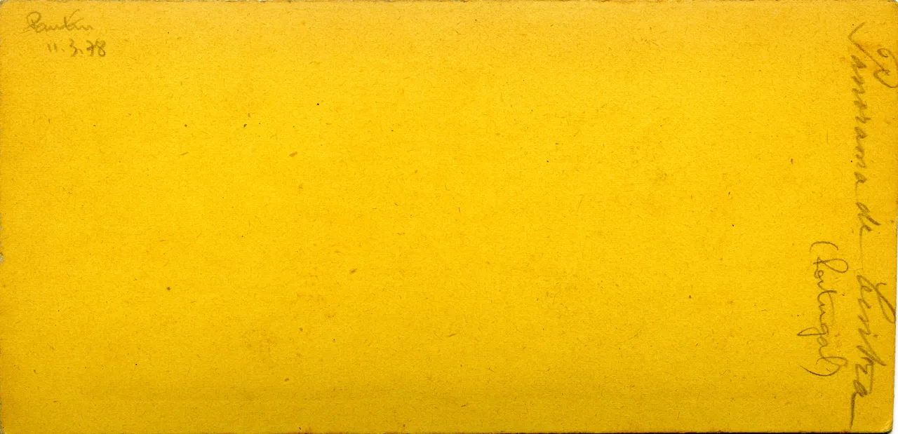 MAG3929.jpg