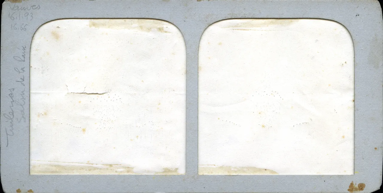 MAG3254.jpg