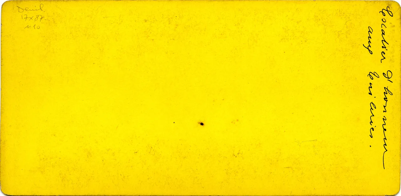 MAG3304.jpg