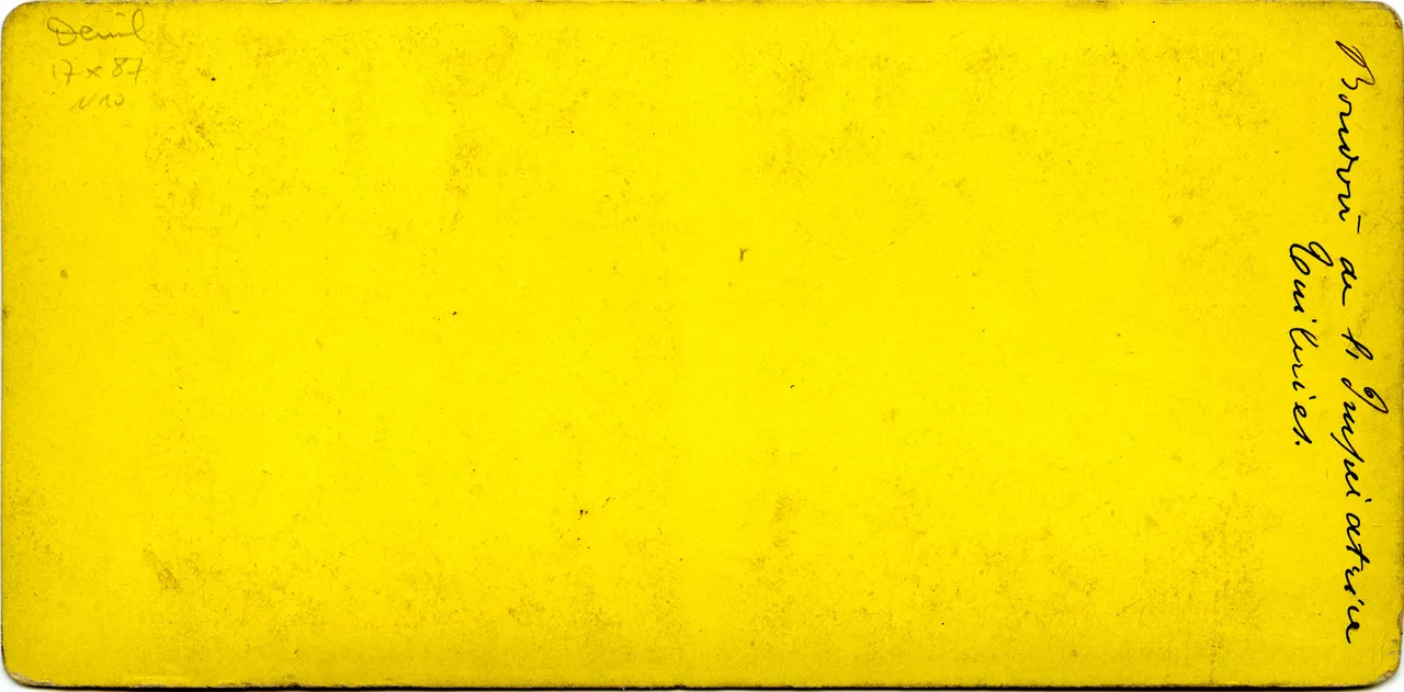 MAG3305.jpg