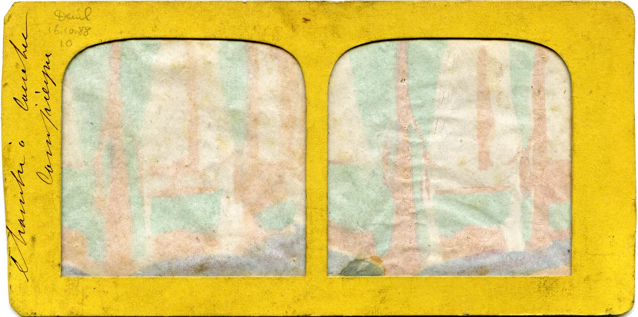 MAG3324.jpg