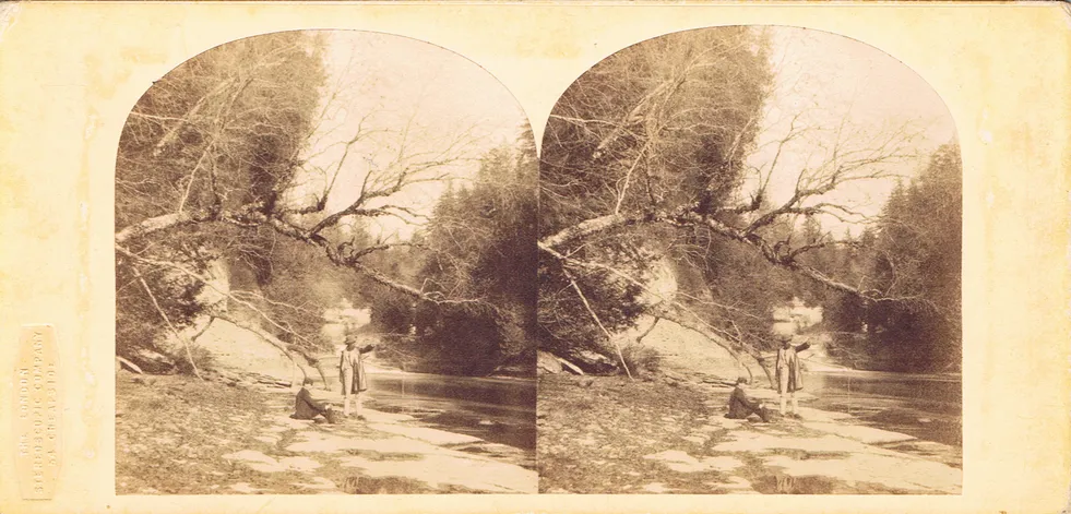 CAL0136.jpg