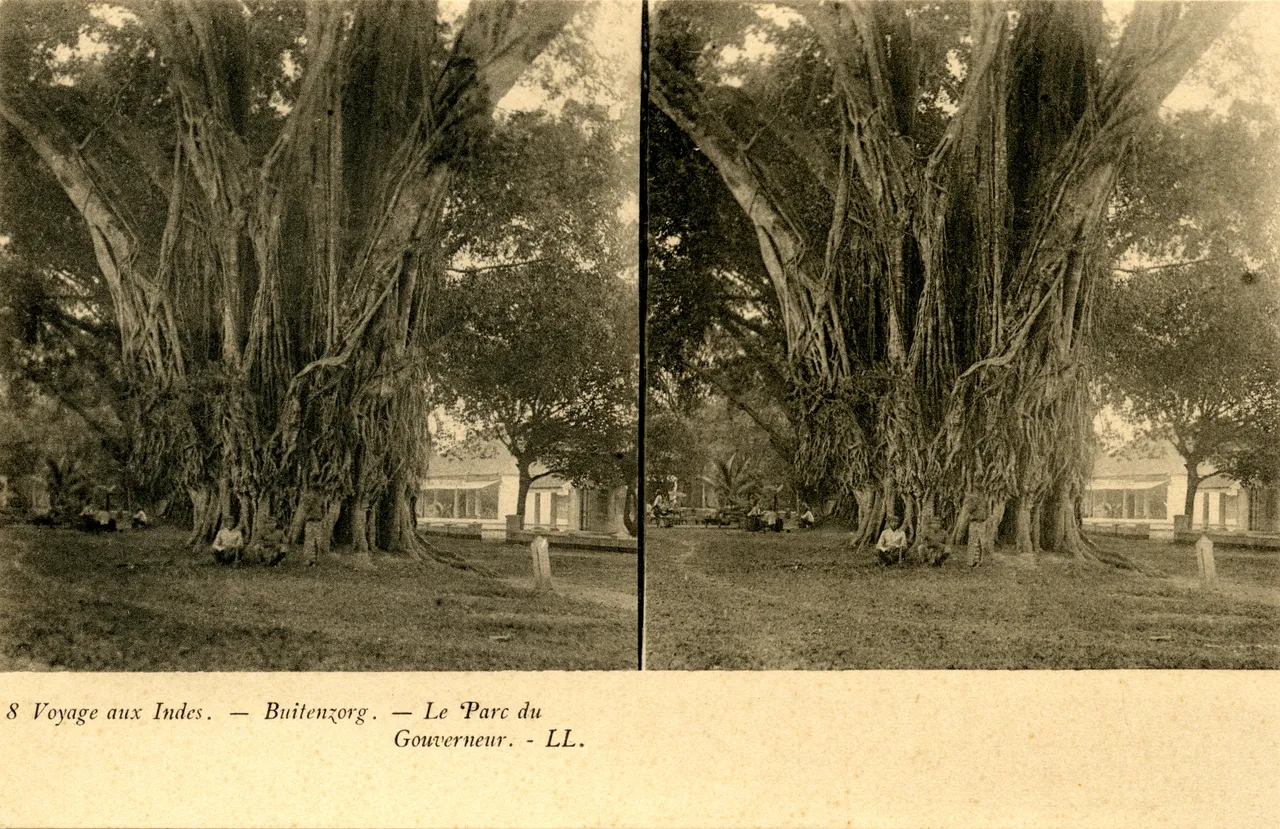 MAG4219.jpg