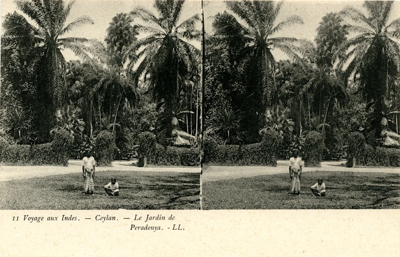 MAG4223.jpg