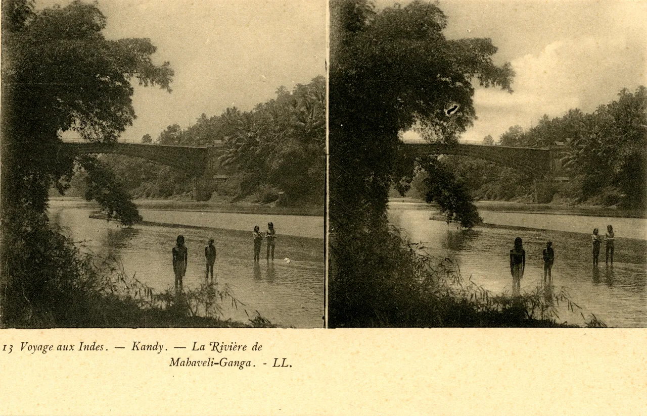 MAG4224.jpg