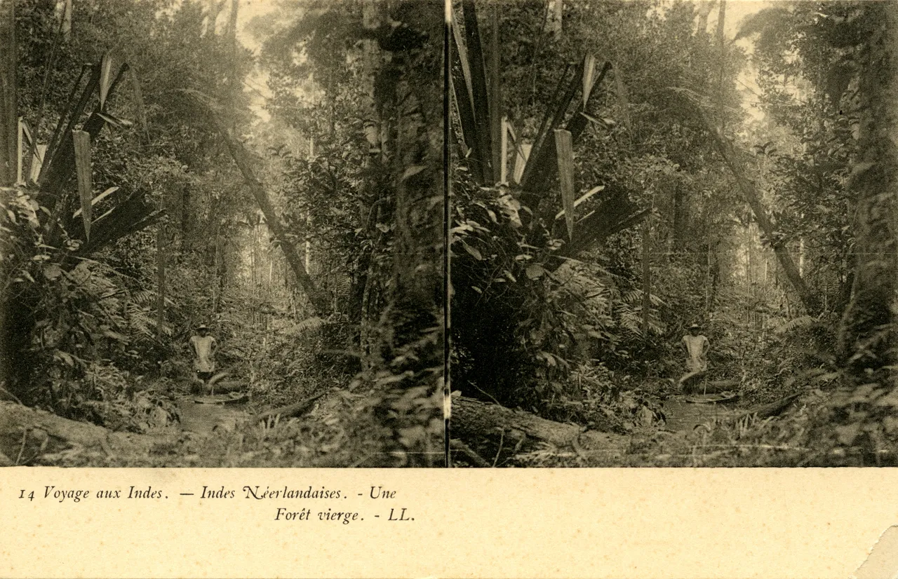 MAG4225.jpg