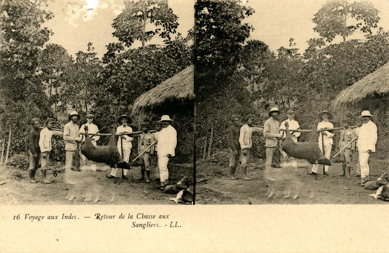 MAG4228.jpg