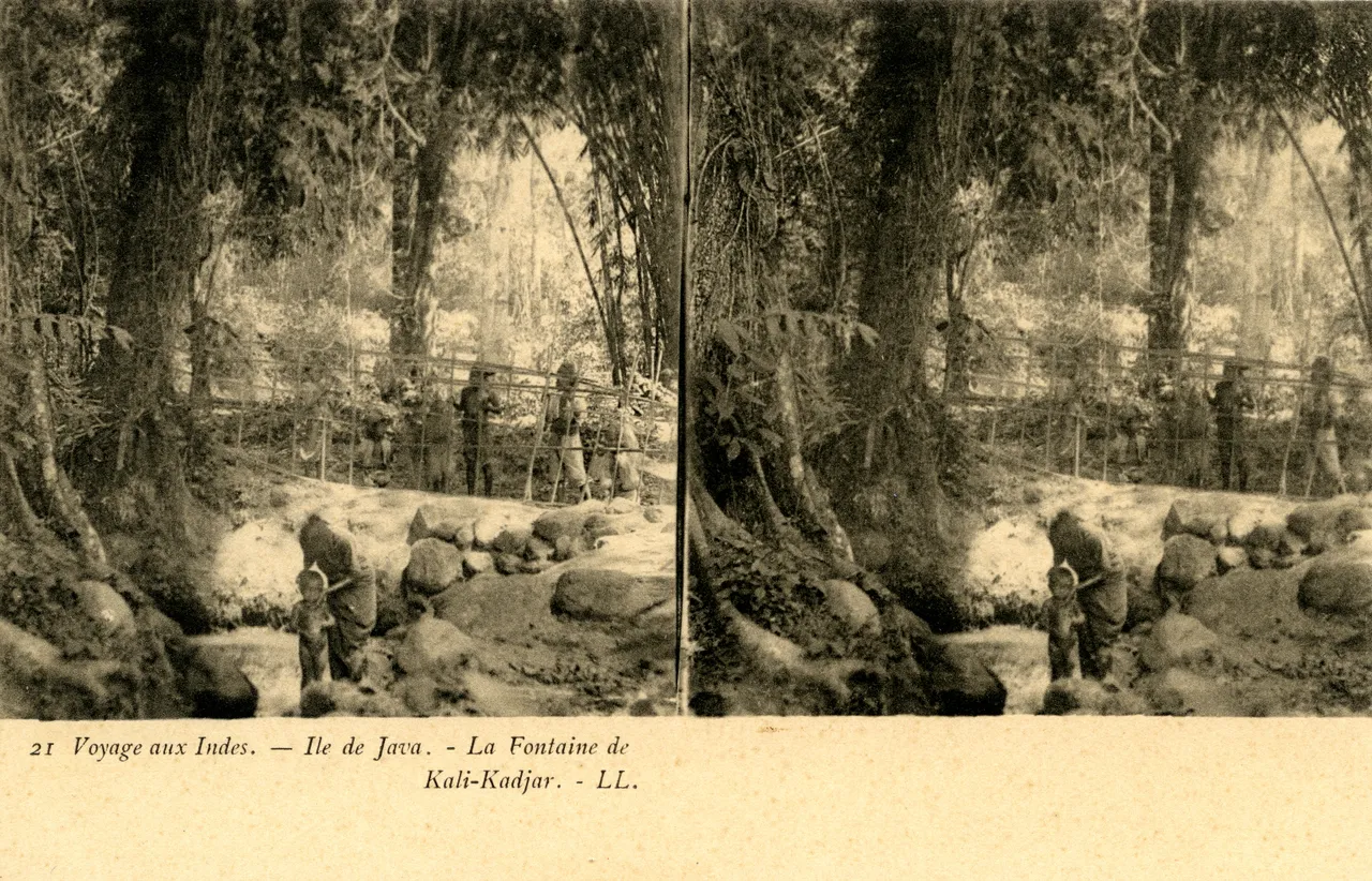 MAG4230.jpg