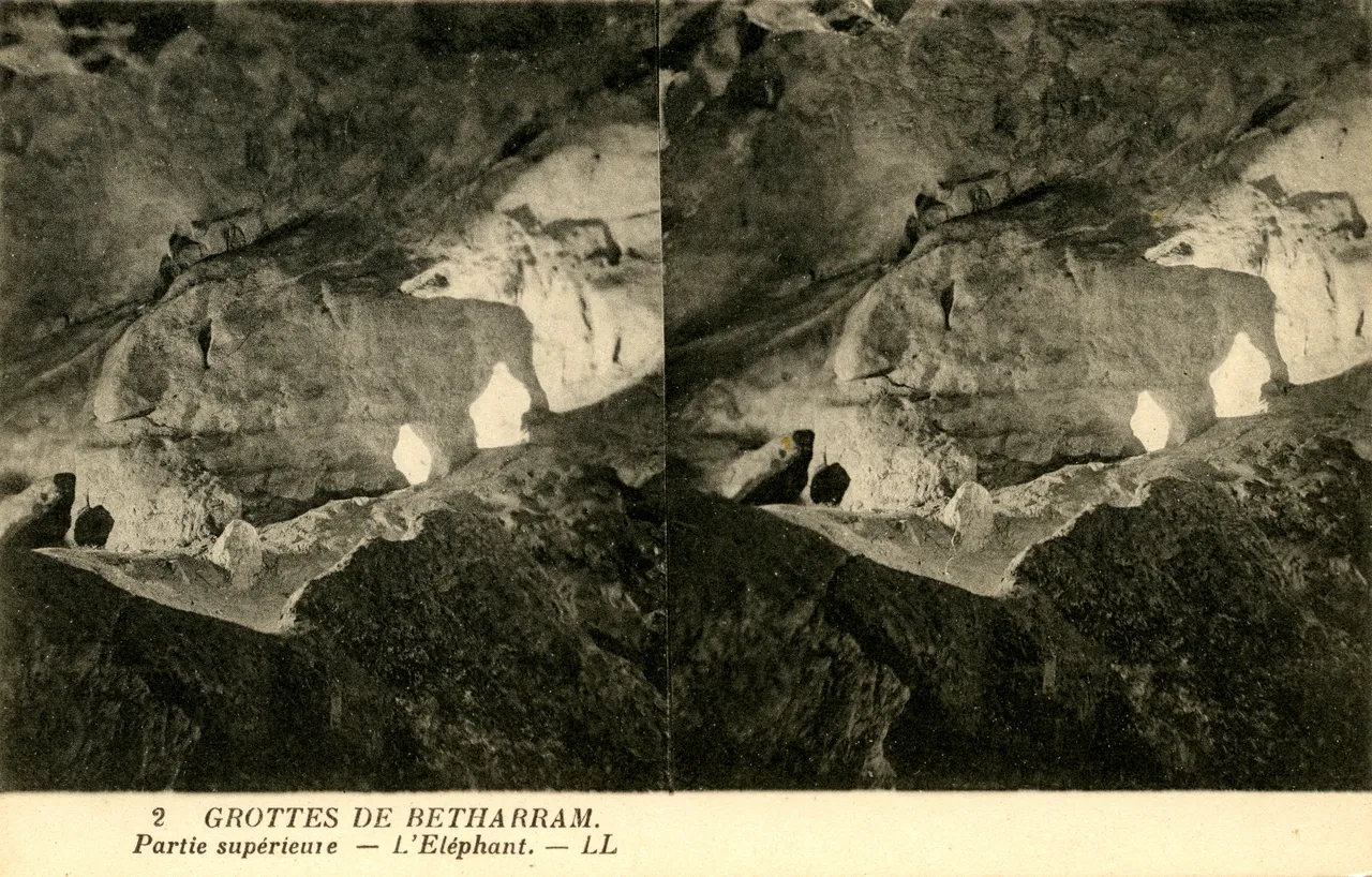 MAG4246.jpg