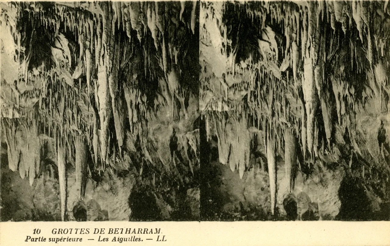 MAG4254.jpg