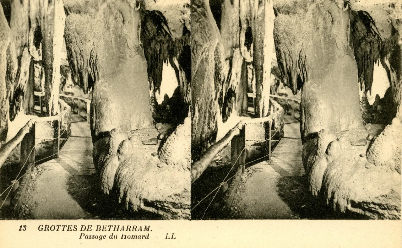 MAG4257.jpg