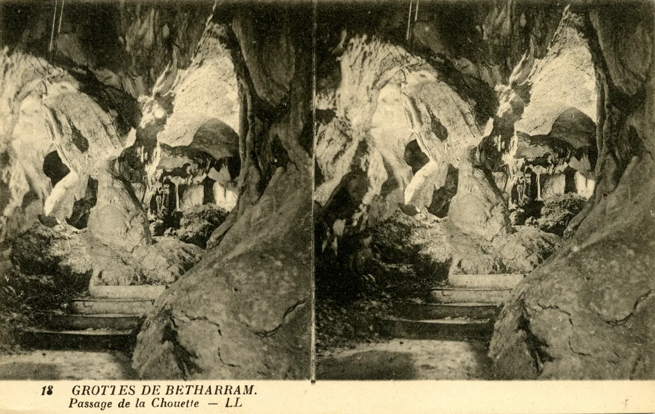 MAG4262.jpg