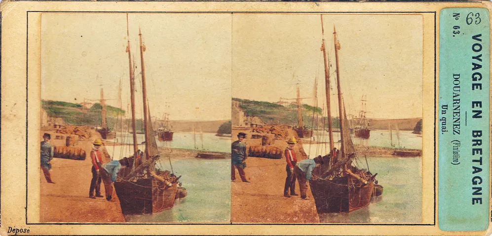 CAL0196.jpg