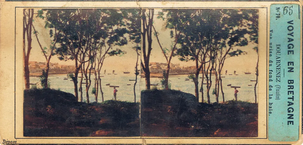CAL0198.jpg