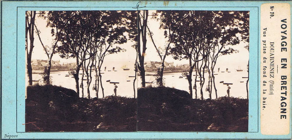 CAL0199.jpg