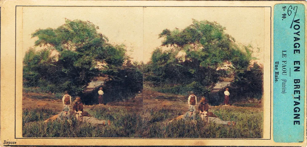 CAL0208.jpg