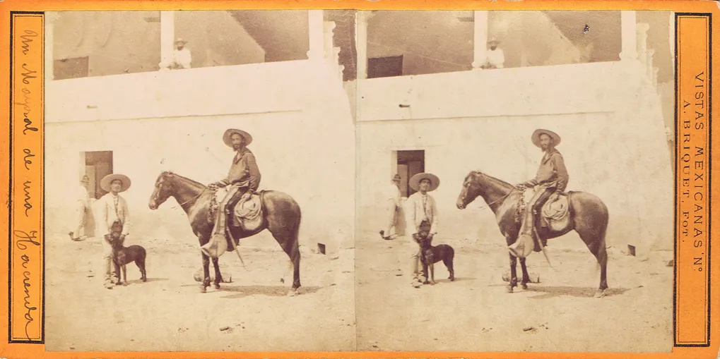CAL0238.jpg