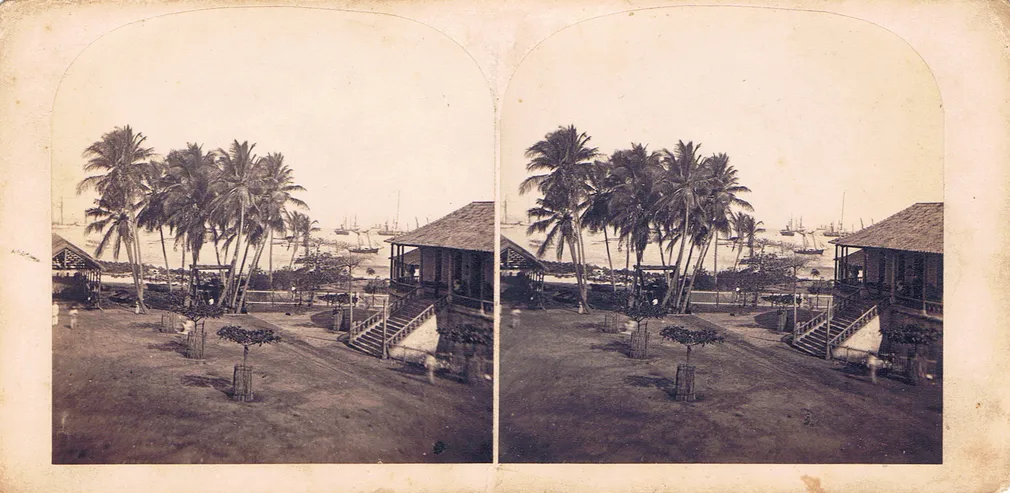 CAL0251.jpg