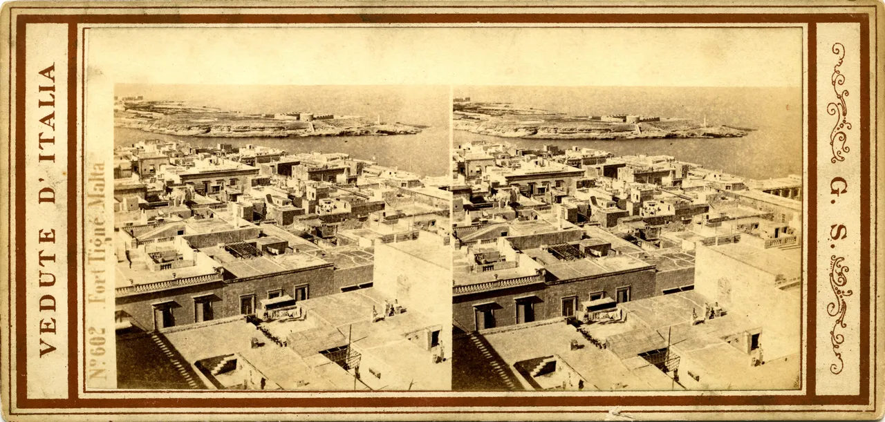 MAG3933.jpg