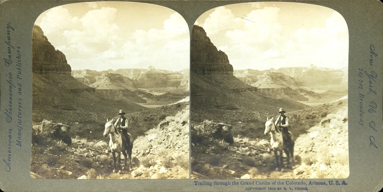 MAG3936.jpg
