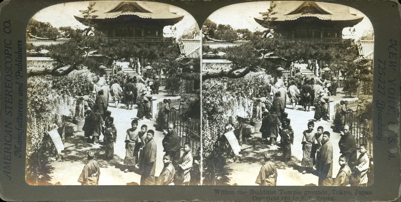 MAG3941.jpg