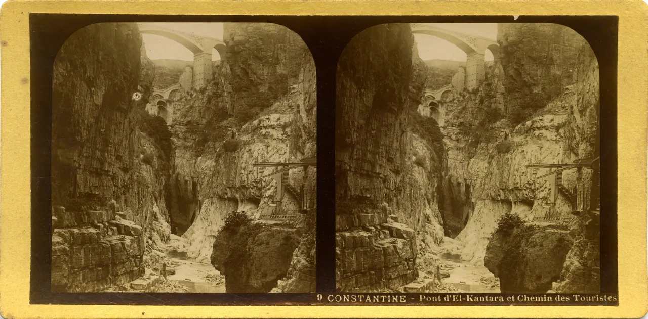 MAG3946.jpg