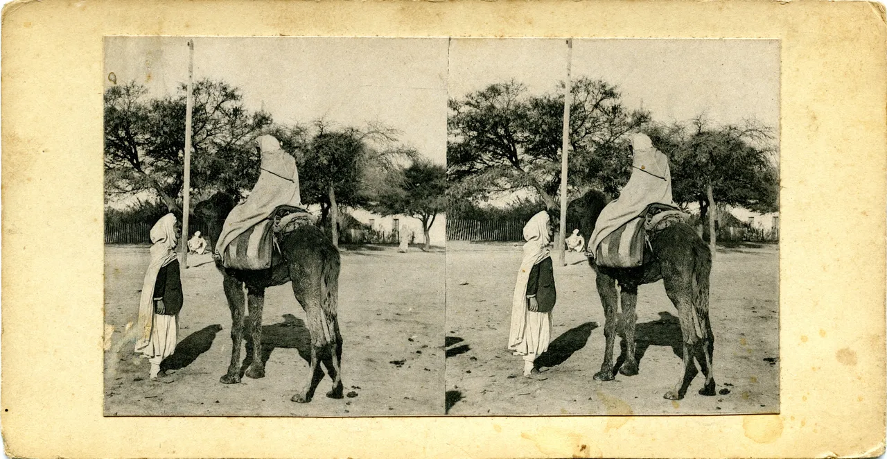 MAG3949.jpg