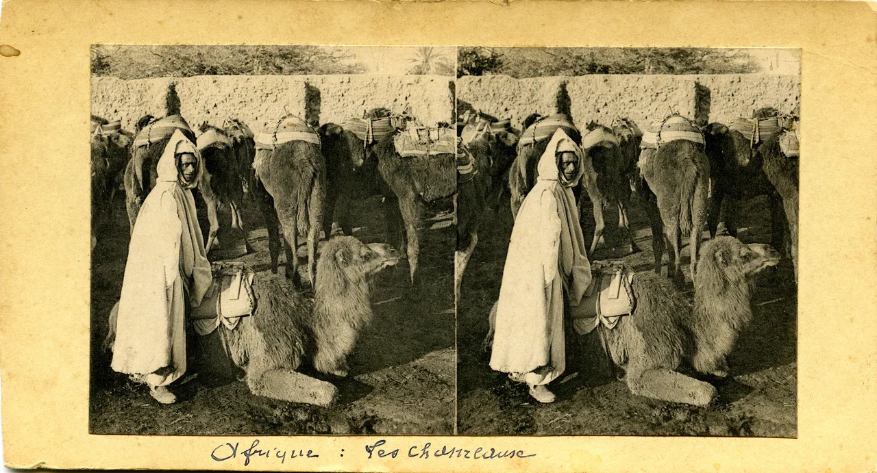 MAG3953.jpg