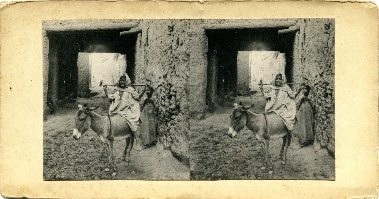 MAG3955.jpg