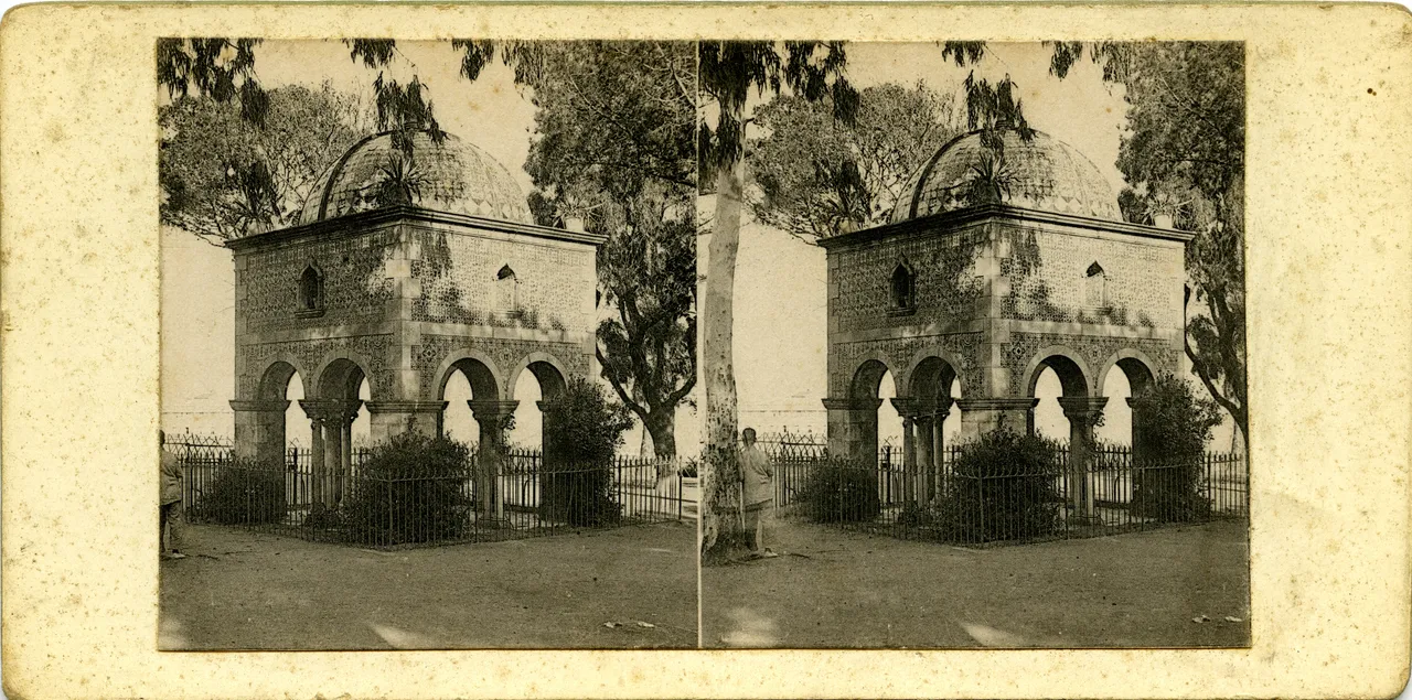 MAG3958.jpg