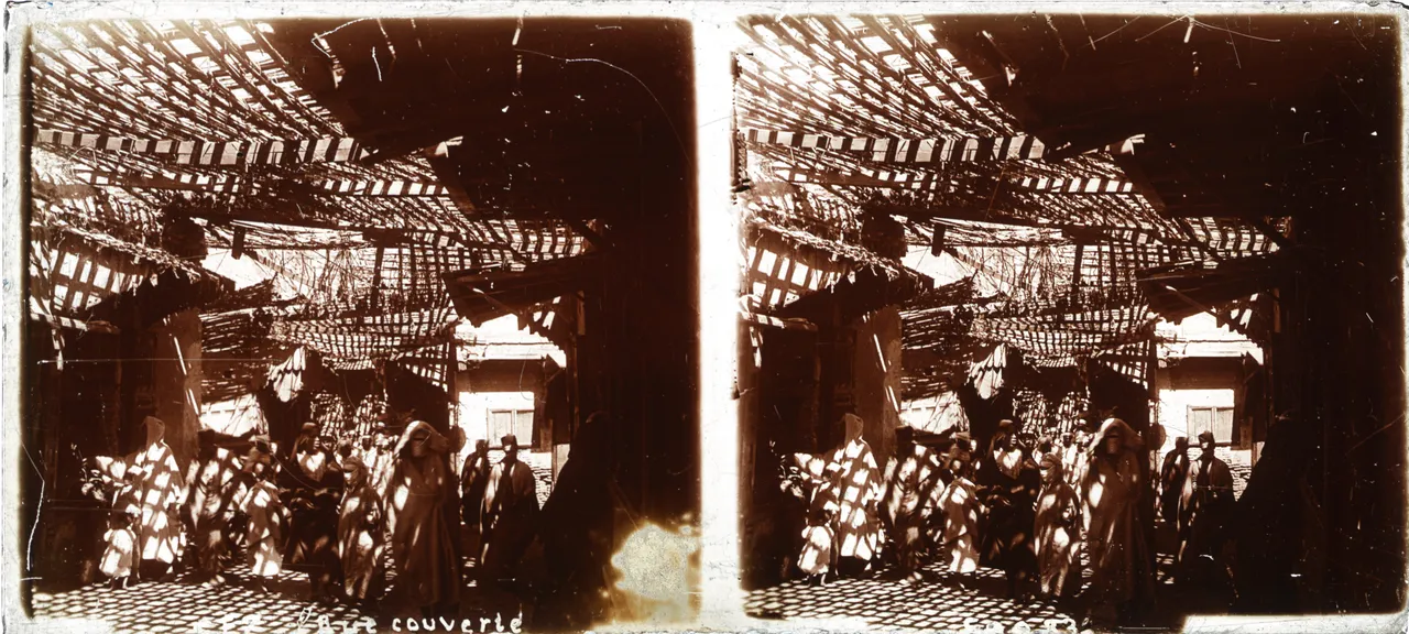 MAG3961.jpg