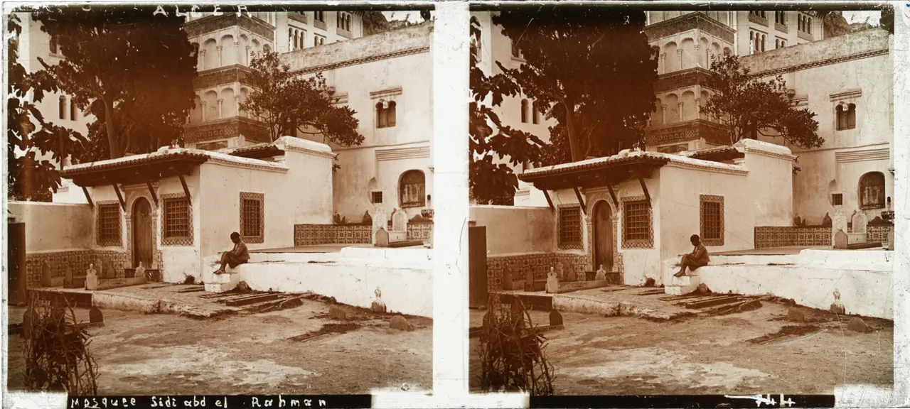 MAG3962.jpg