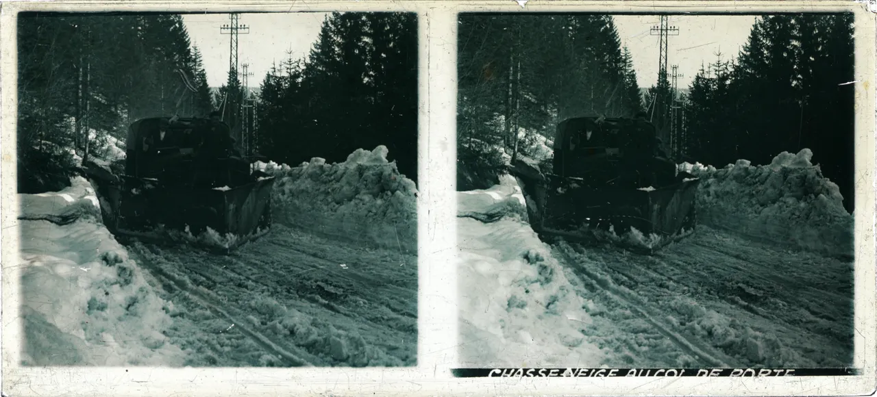 MAG3963.jpg