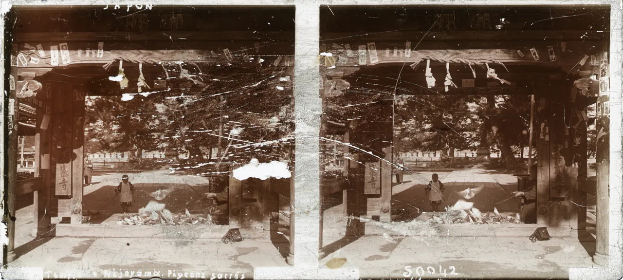MAG3964.jpg