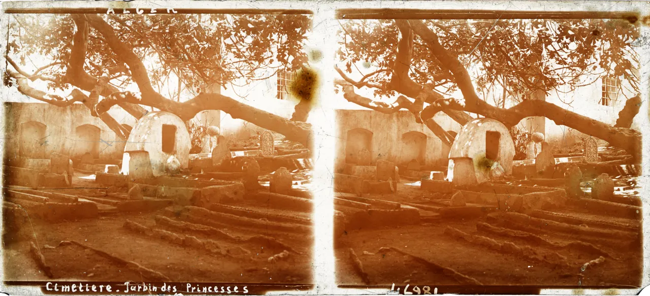 MAG3967.jpg