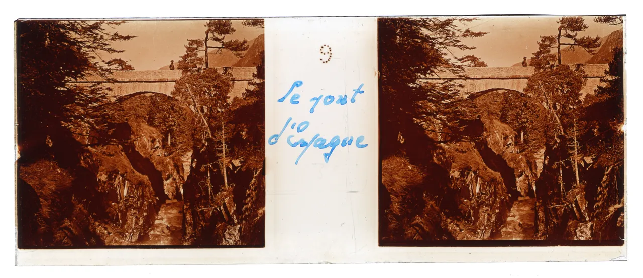MAG3978.jpg